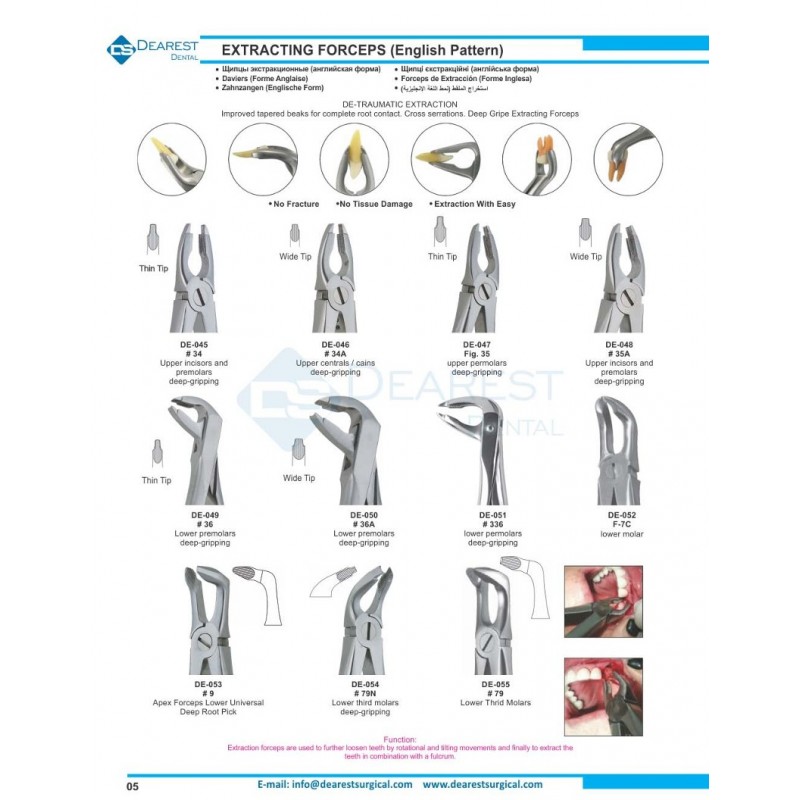 Extracting Forceps (English Pattern)