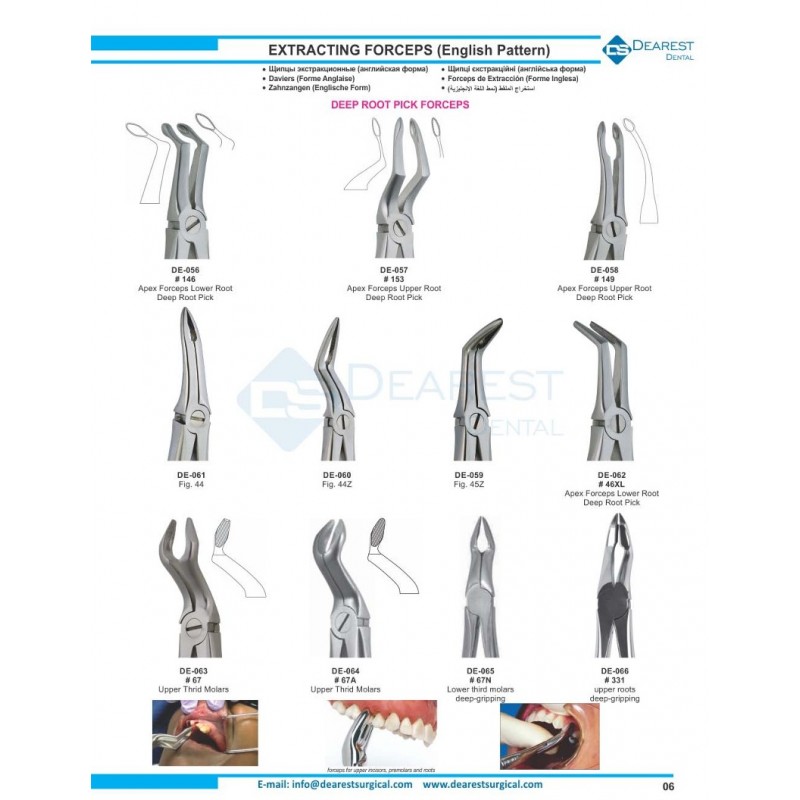 Extracting Forceps (English Pattern)