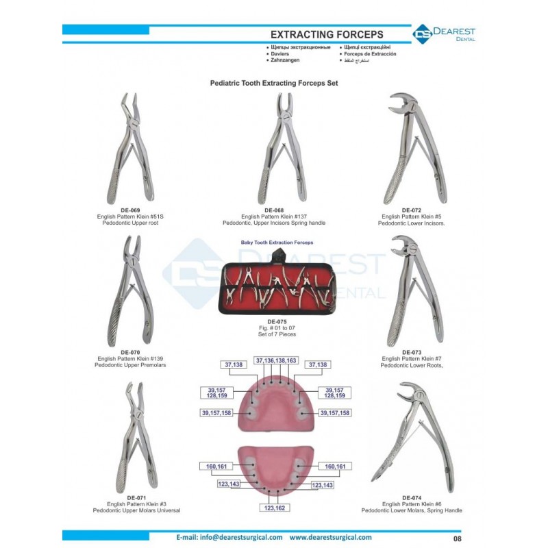 Extracting Forceps (English Pattern)